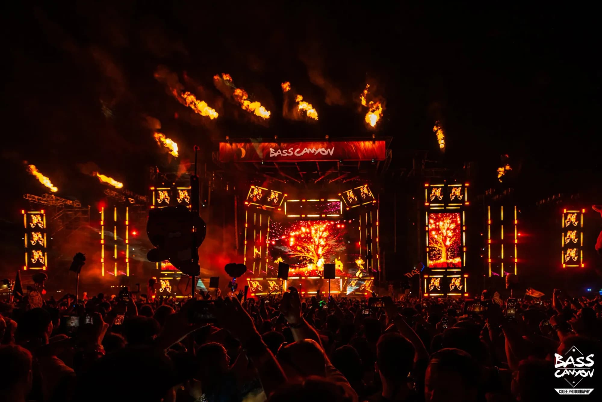 Colee.one Bass Canyon 2022 photography image 294 of 298