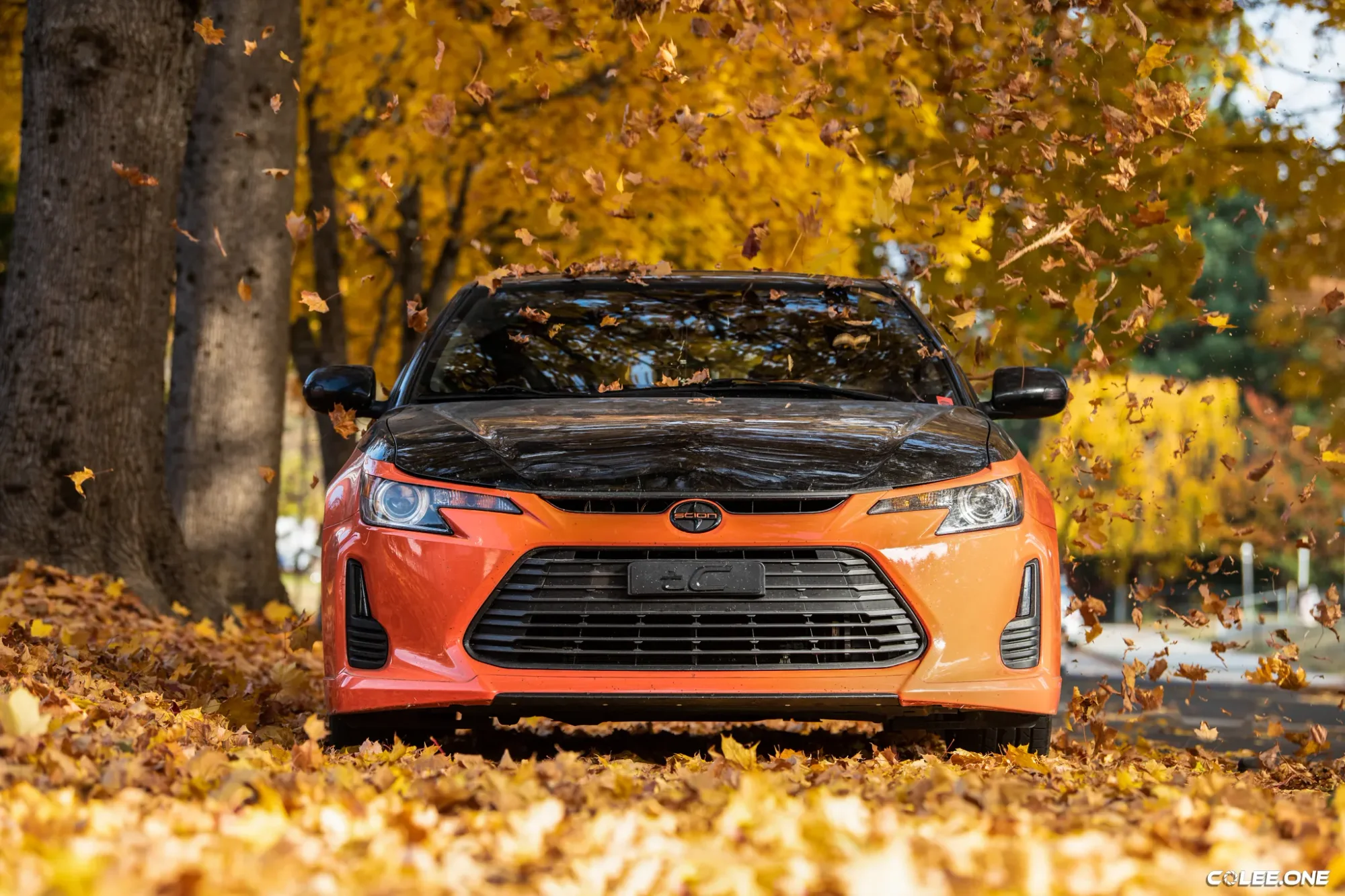 Colee.one — Automotive photography, image 11 of 57