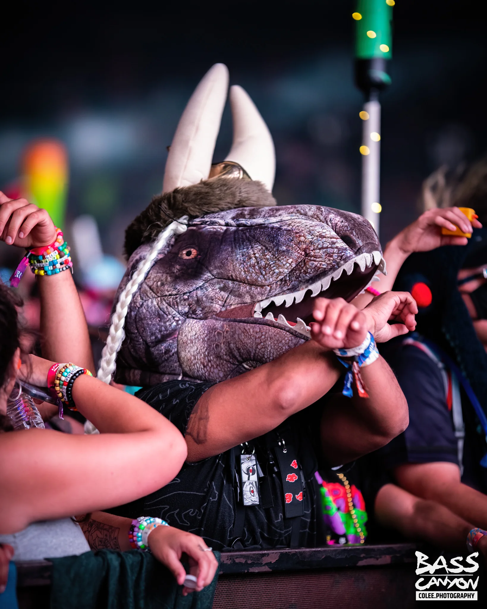 Colee.one — Bass Canyon 2021 photography, image 79 of 176