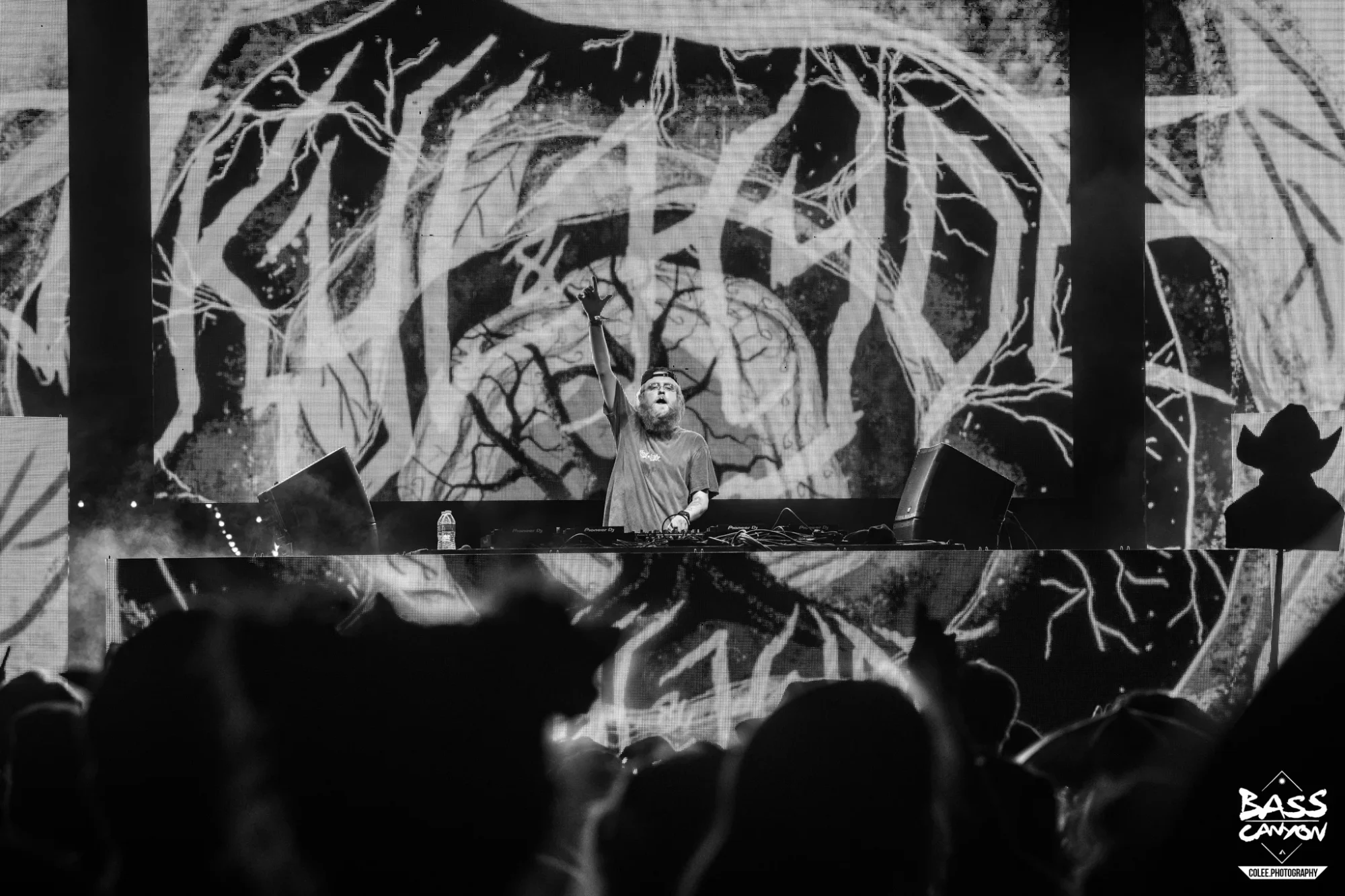 Colee.one — Bass Canyon 2022 photography, image 282 of 298