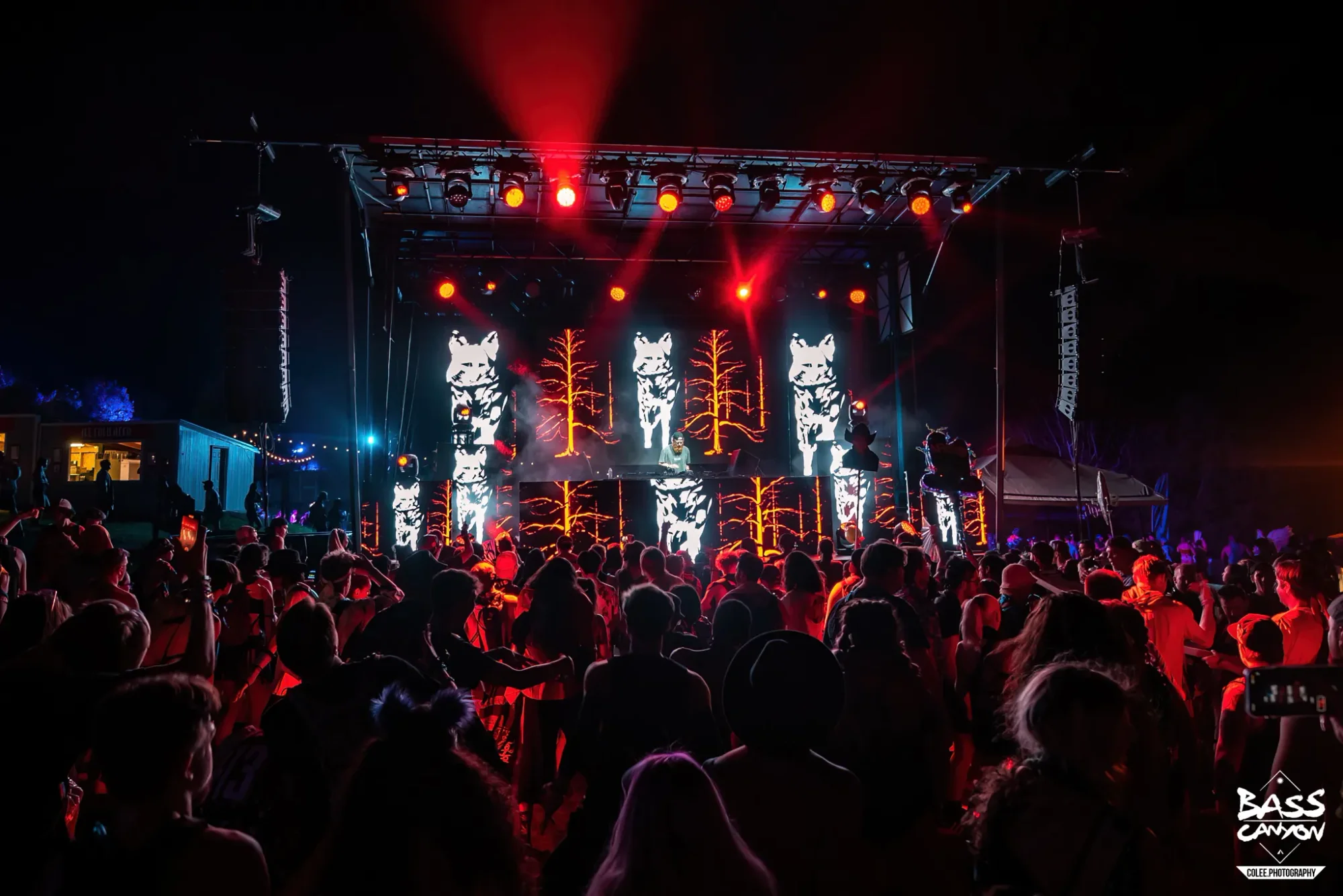 Colee.one — Bass Canyon 2022 photography, image 284 of 298