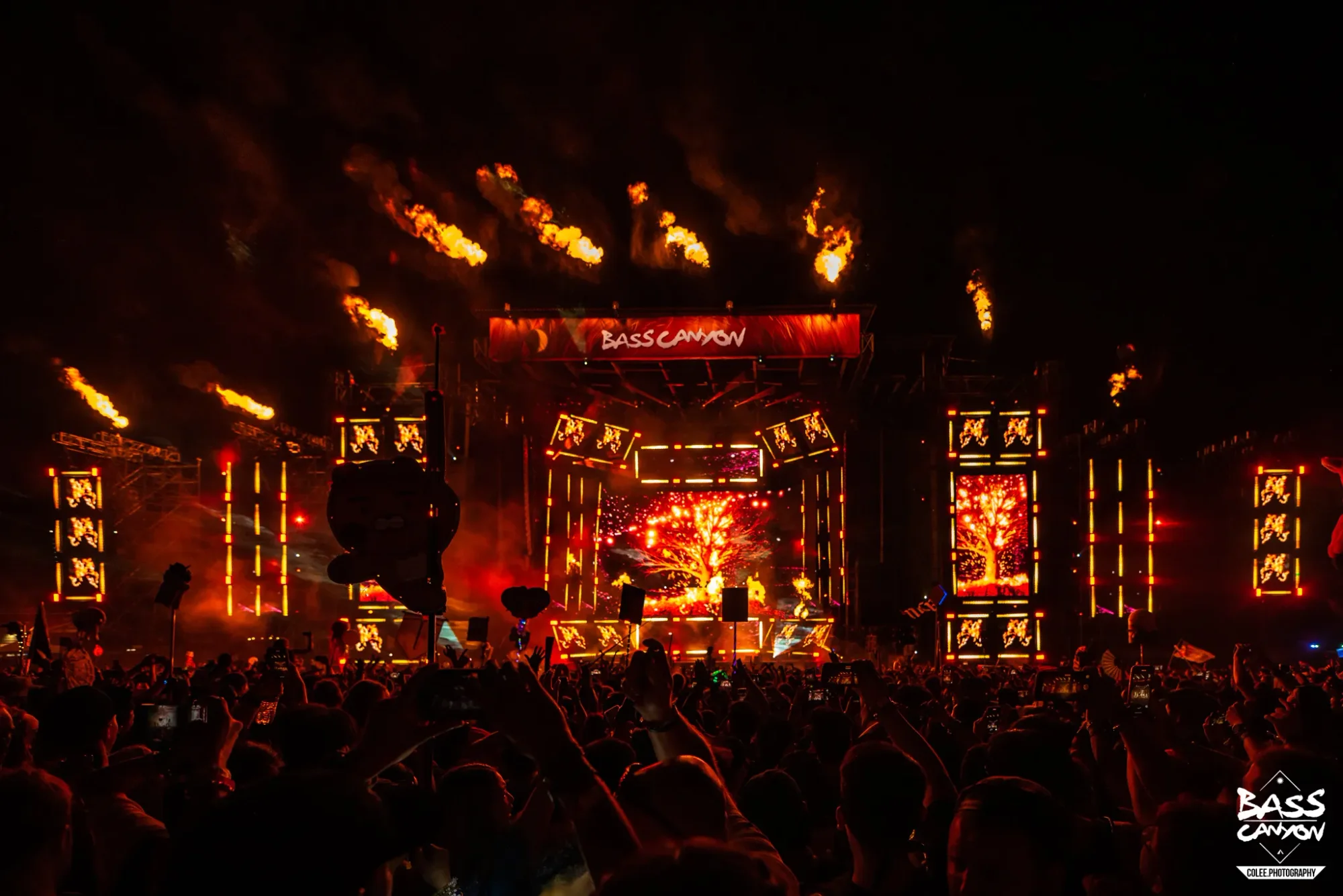 Colee.one — Bass Canyon 2022 photography, image 294 of 298