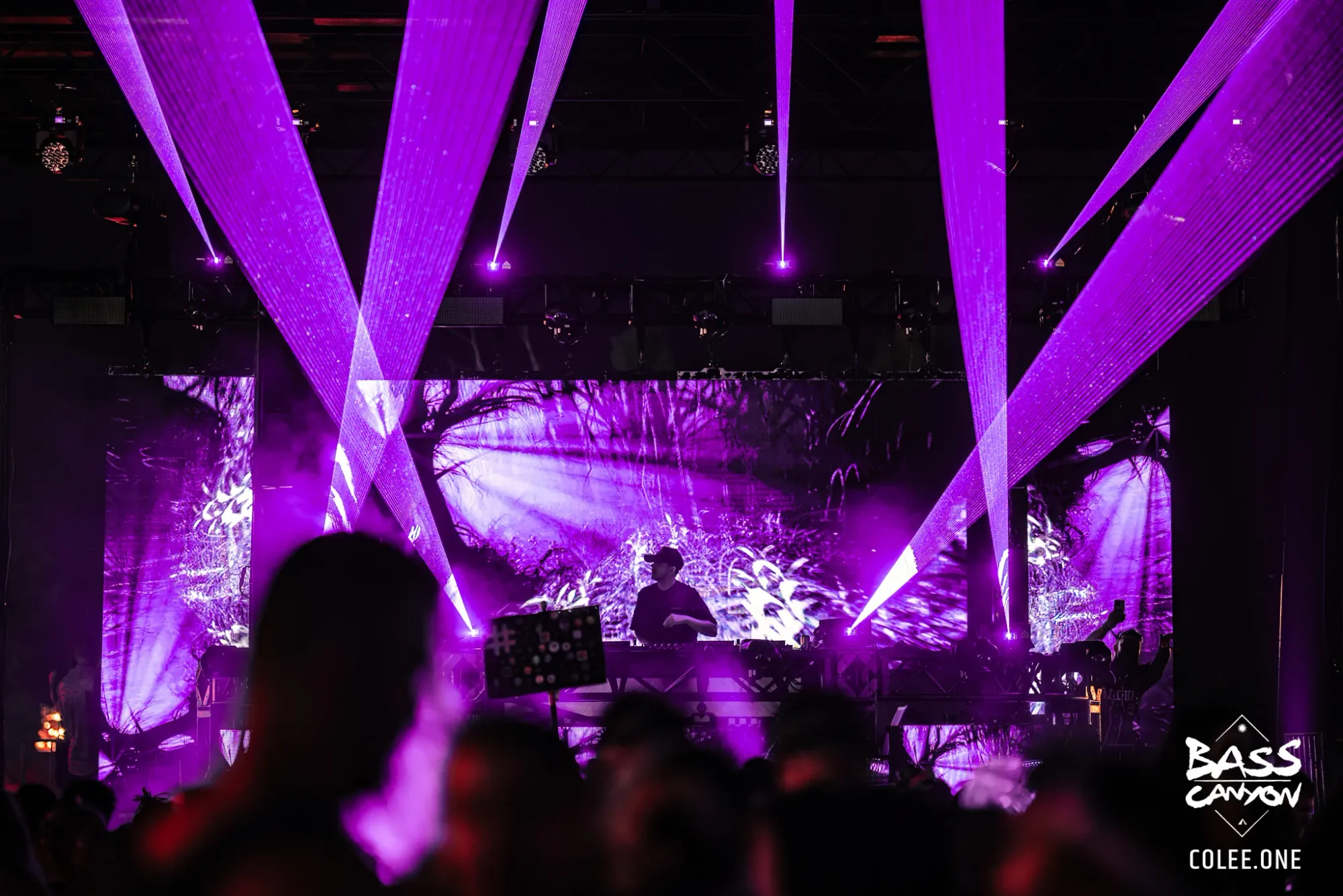 Colee.one — Bass Canyon 2023 photography, image 299 of 338