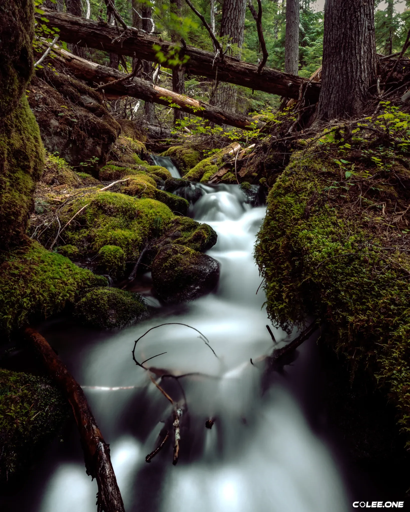 Colee.one — Hang on Your Wall photography, image 3 of 28