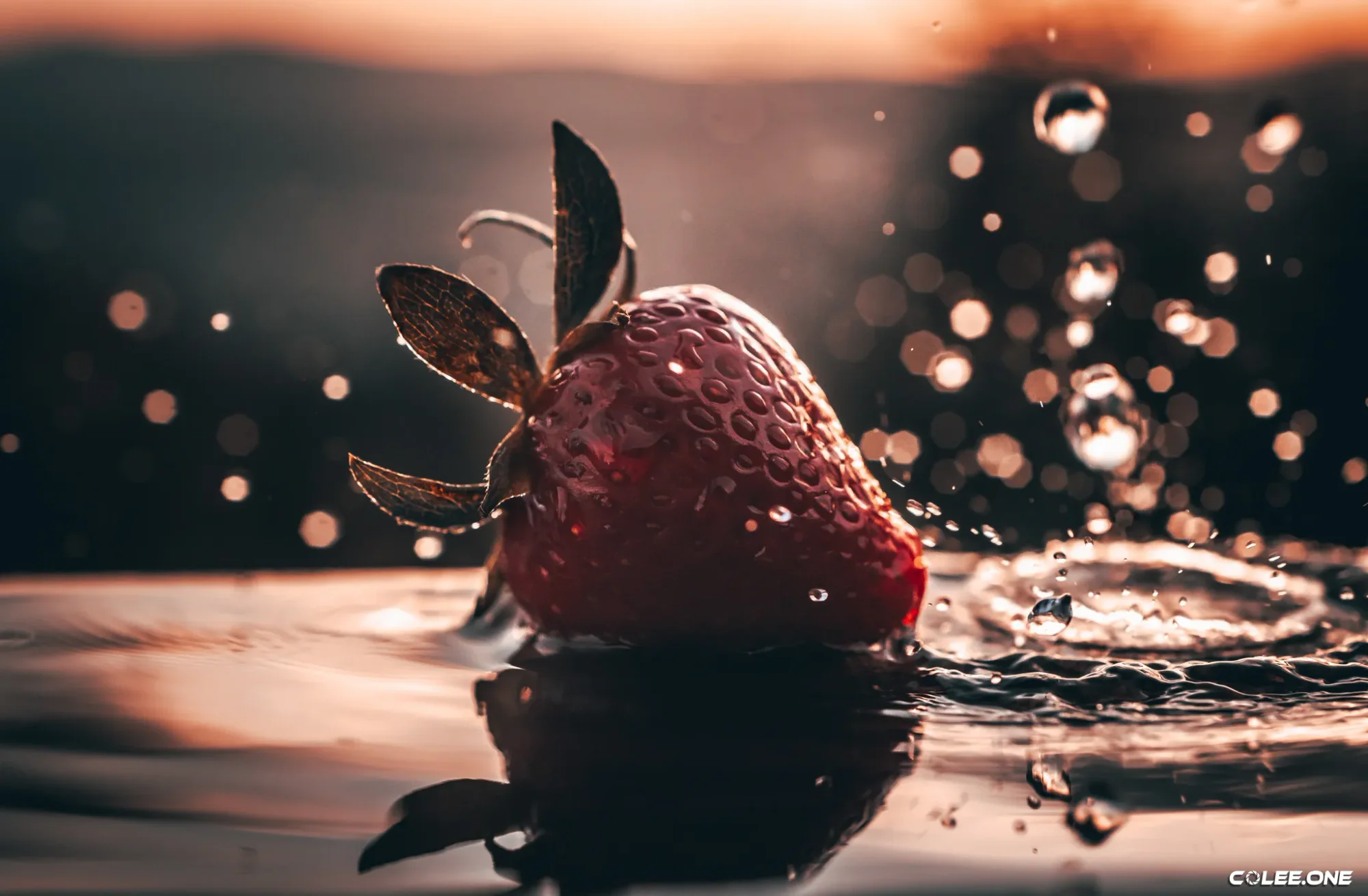 Colee.one — Hang on Your Wall photography, image 11 of 28