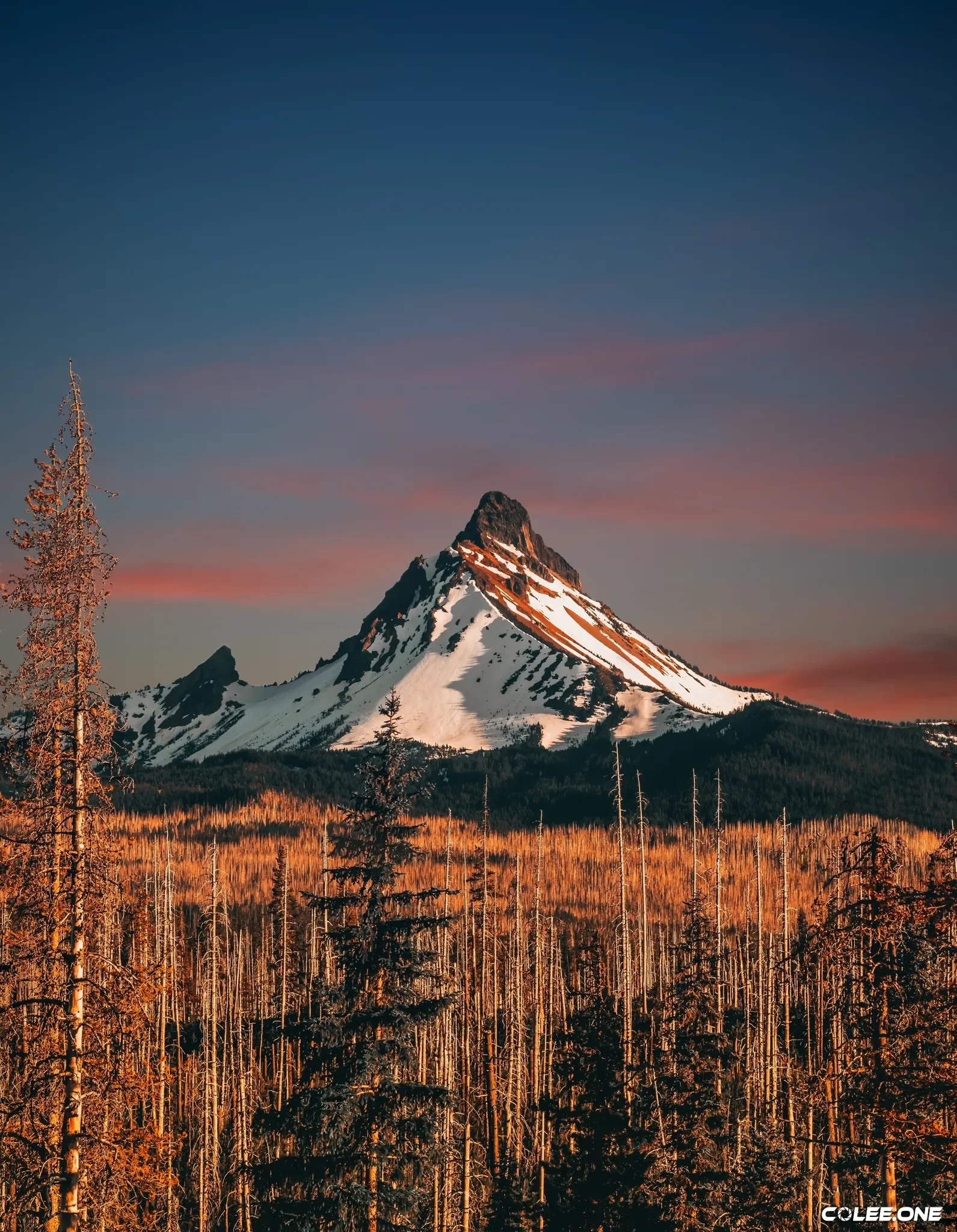 Colee.one — Hang on Your Wall photography, image 19 of 28