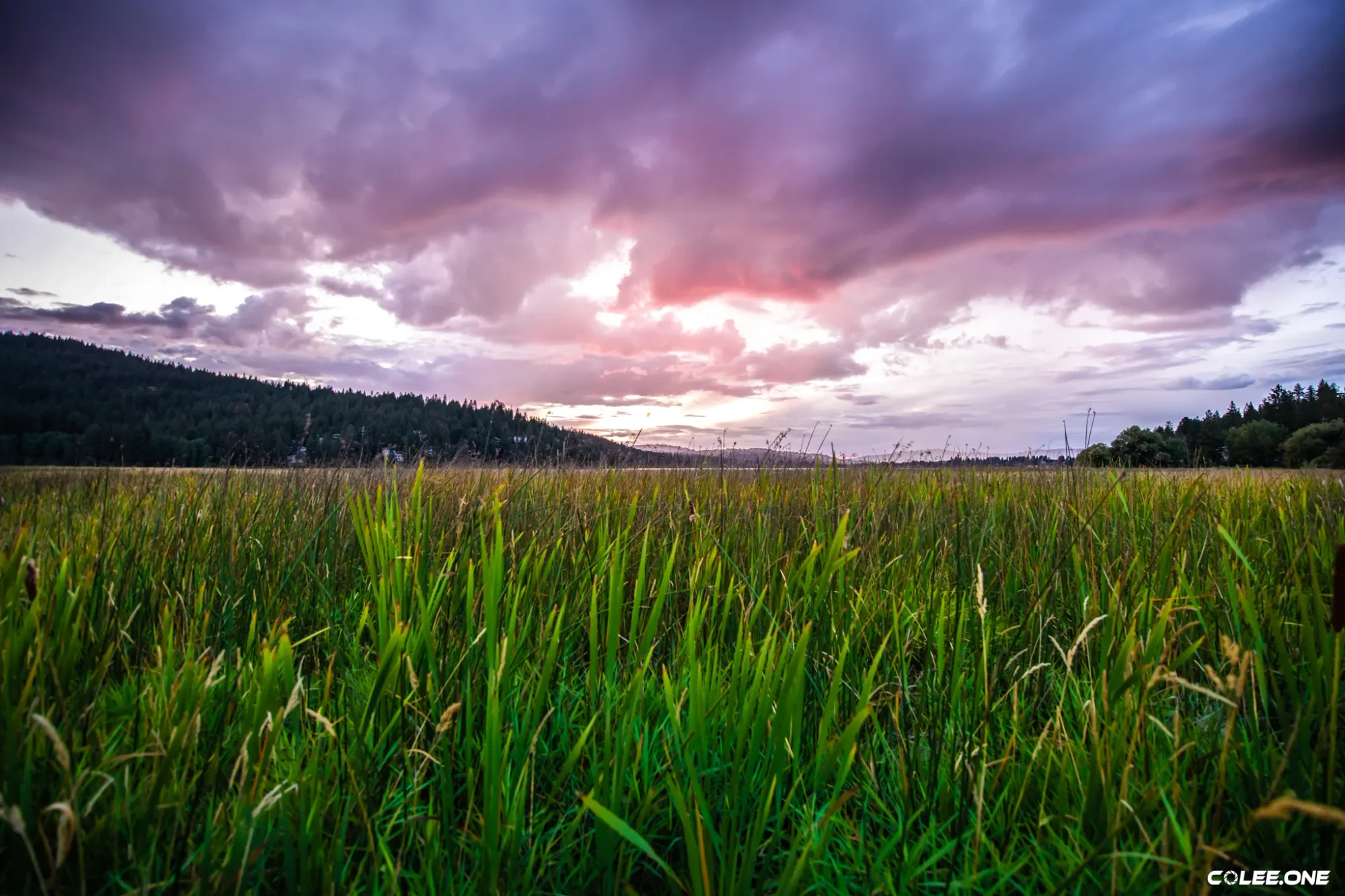 Colee.one — Hang on Your Wall photography, image 27 of 28
