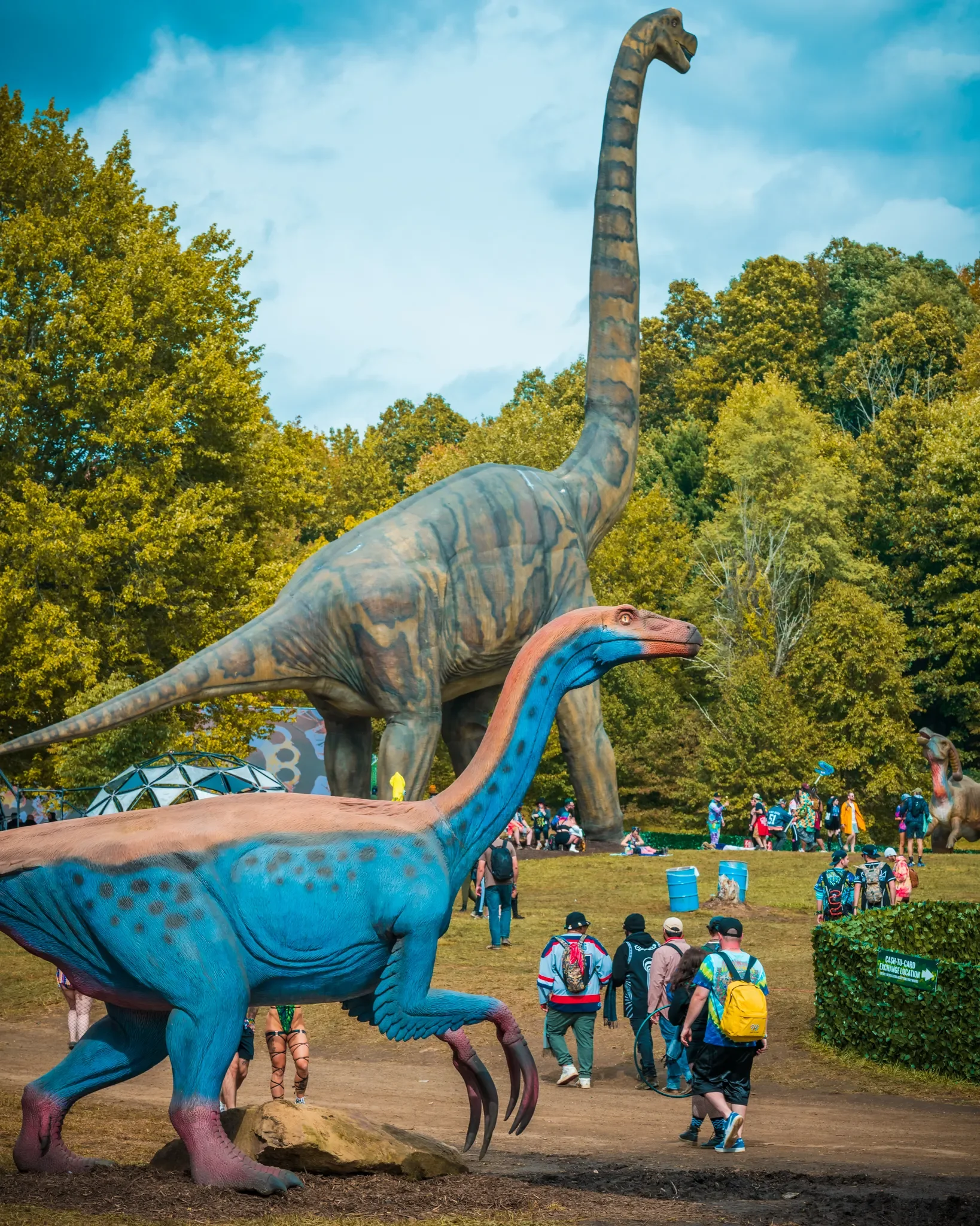 Colee.one — Lost Lands 2021 photography, image 29 of 359