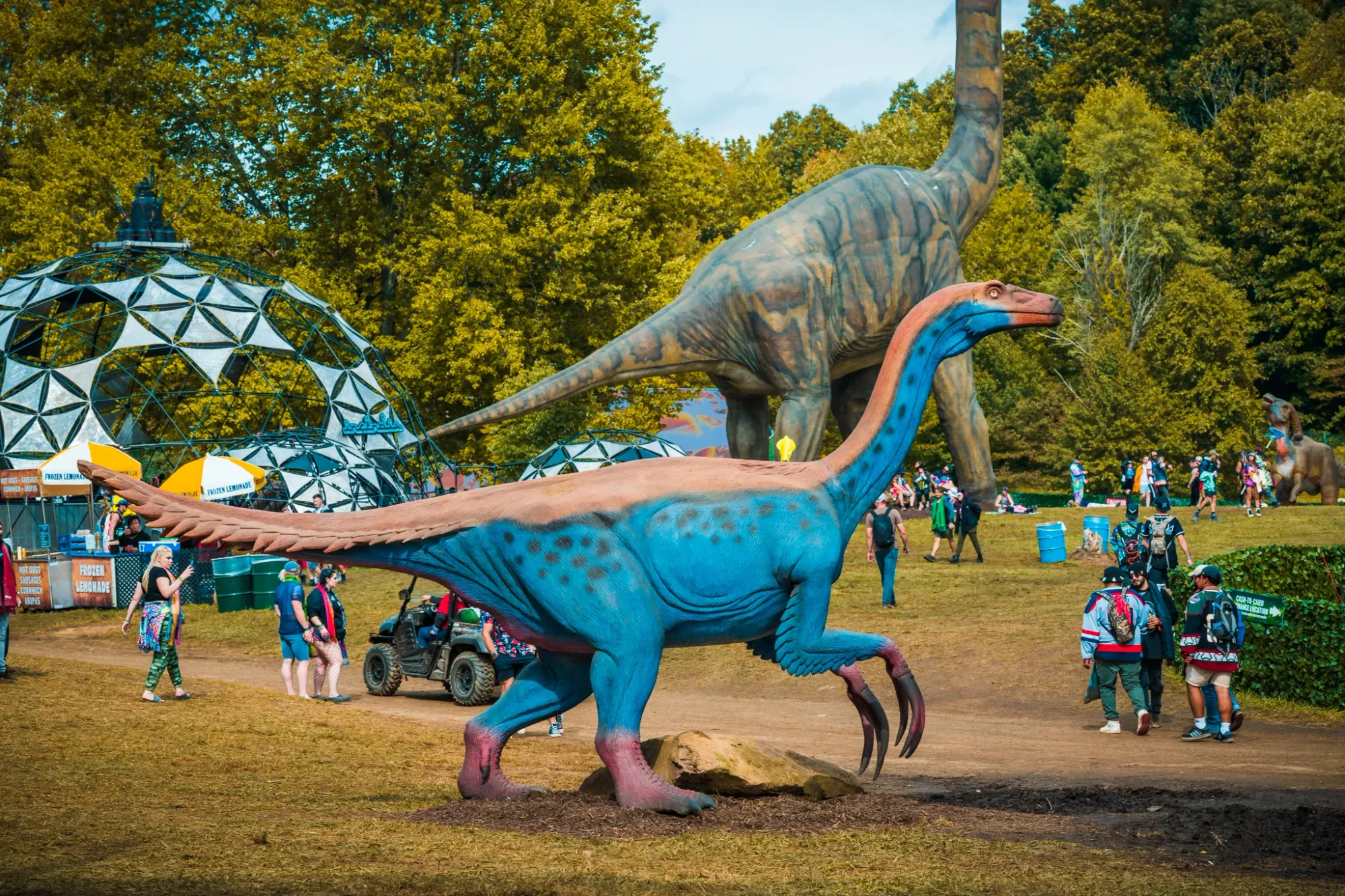 Colee.one — Lost Lands 2021 photography, image 32 of 359