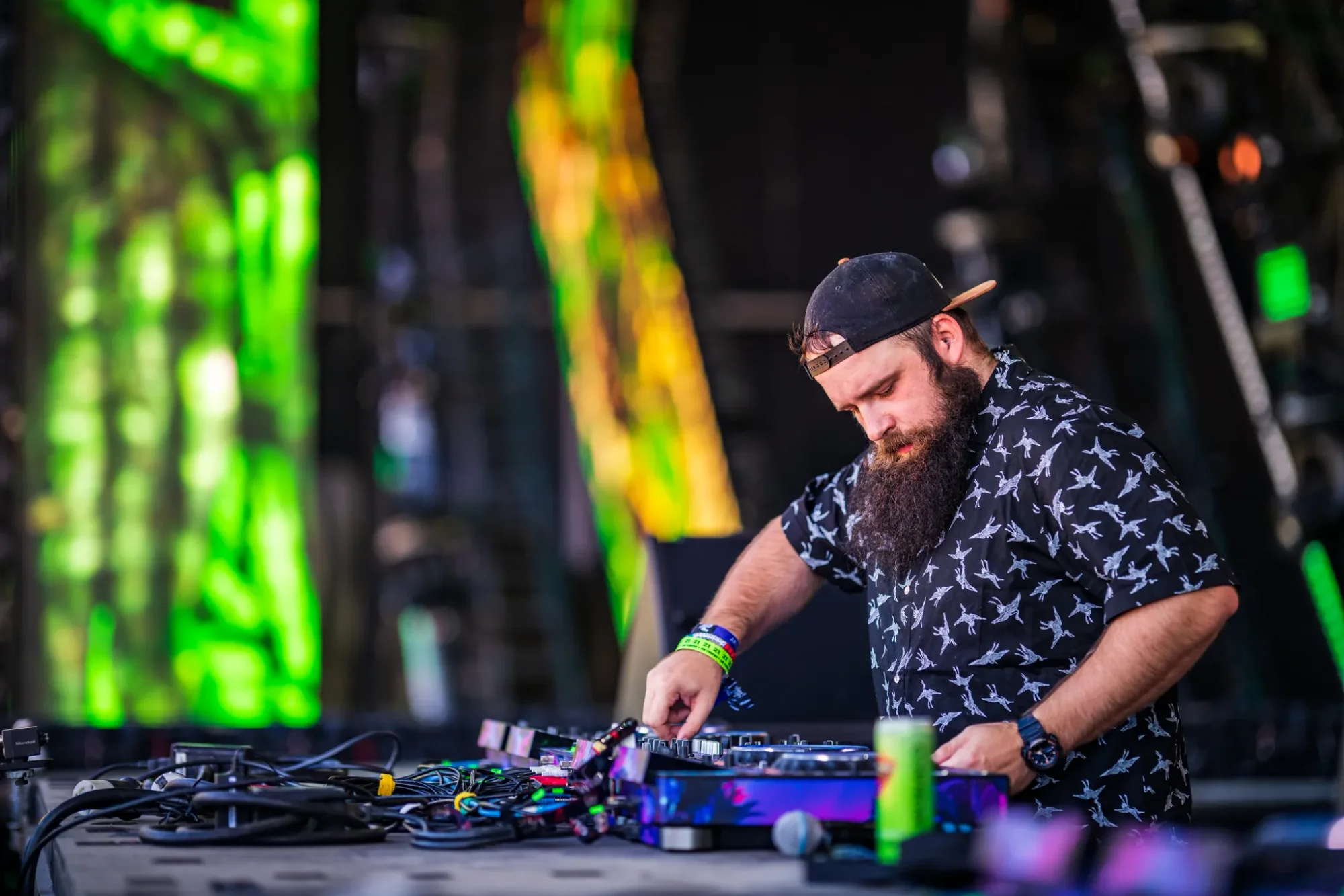 Colee.one — Lost Lands 2021 photography, image 46 of 359
