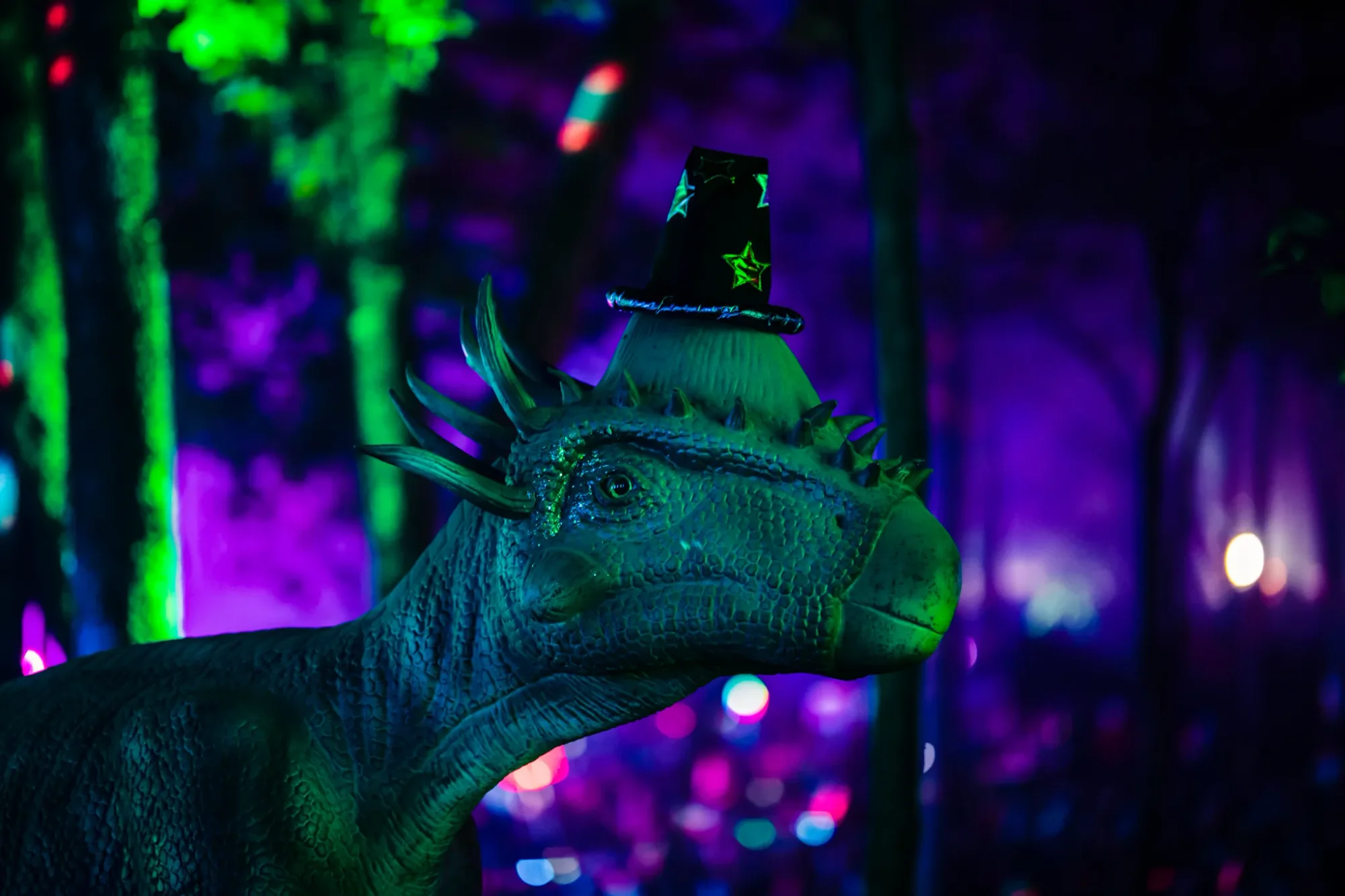 Colee.one — Lost Lands 2021 photography, image 91 of 359