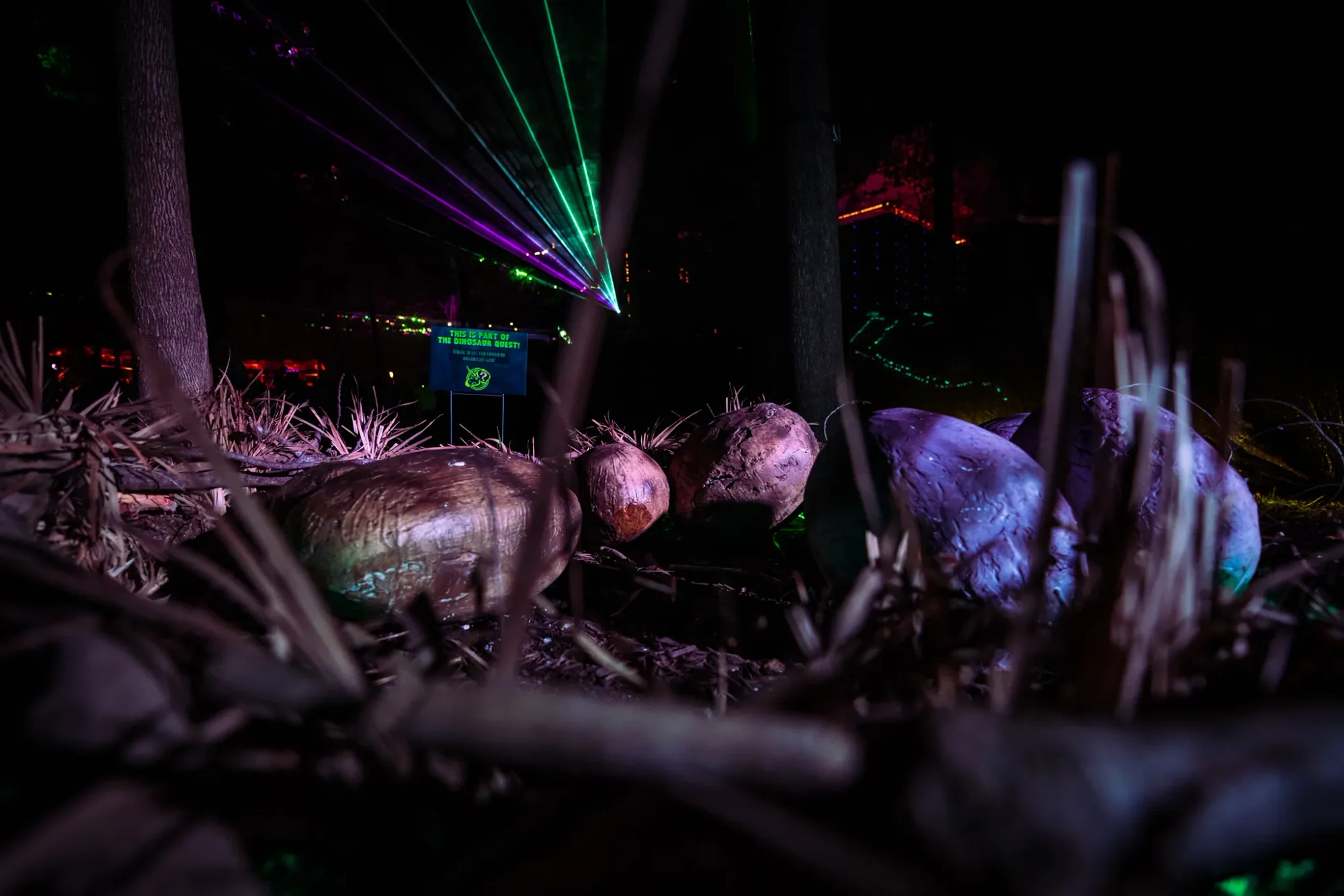 Colee.one — Lost Lands 2021 photography, image 93 of 359