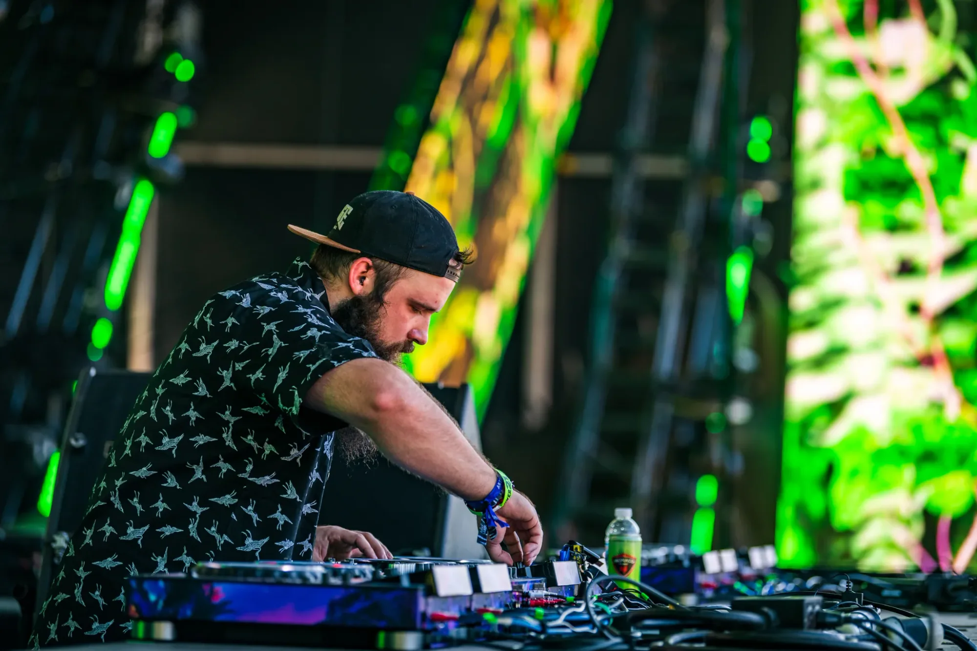 Colee.one — Lost Lands 2021 photography, image 101 of 359
