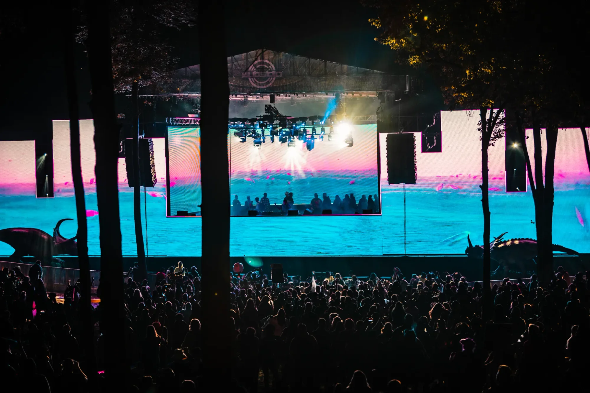 Colee.one — Lost Lands 2021 photography, image 104 of 359