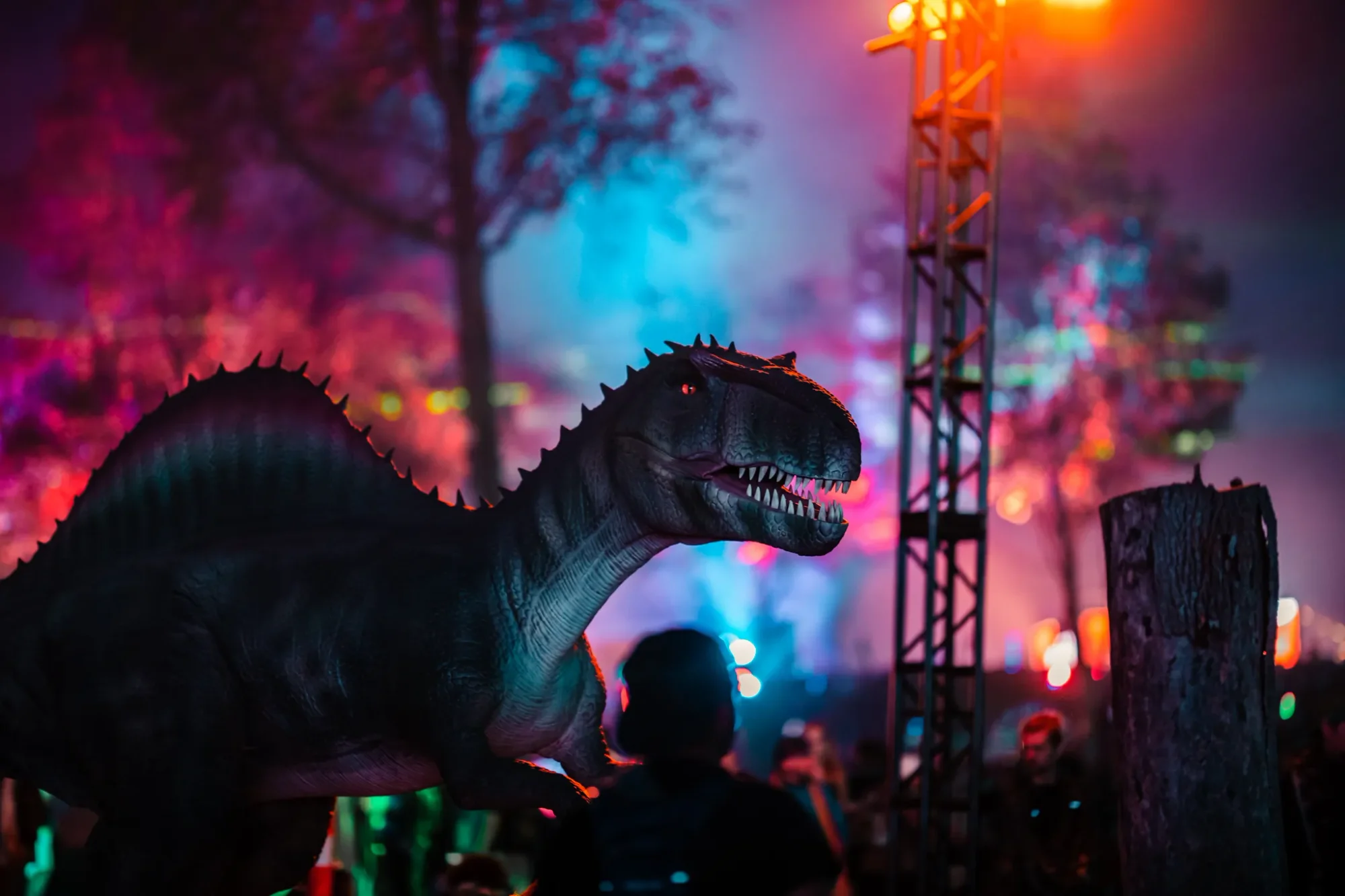 Colee.one — Lost Lands 2021 photography, image 107 of 359