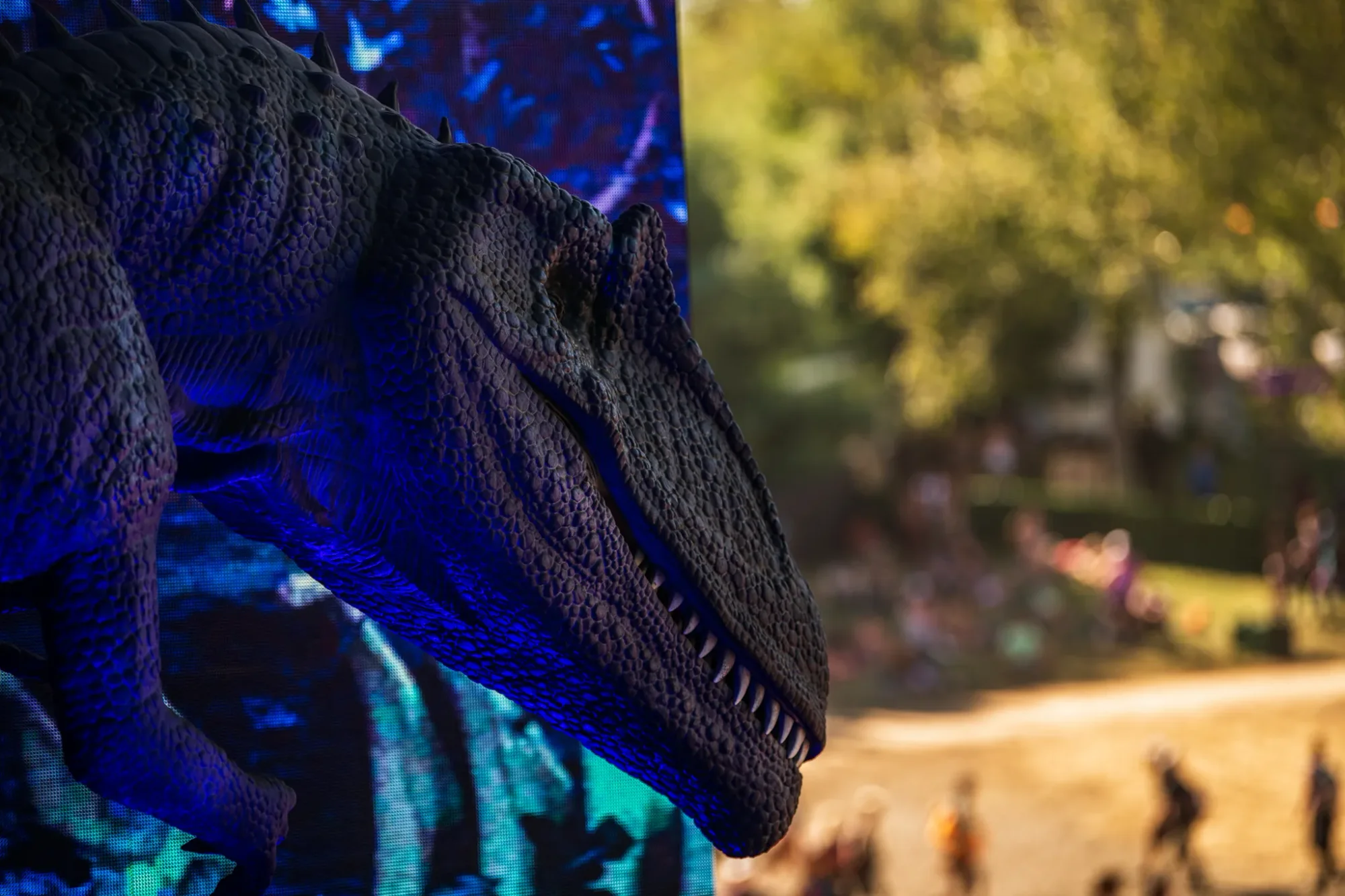 Colee.one — Lost Lands 2021 photography, image 166 of 359