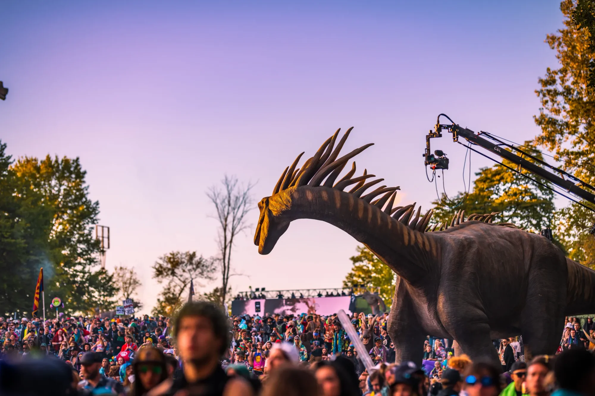 Colee.one — Lost Lands 2021 photography, image 190 of 359