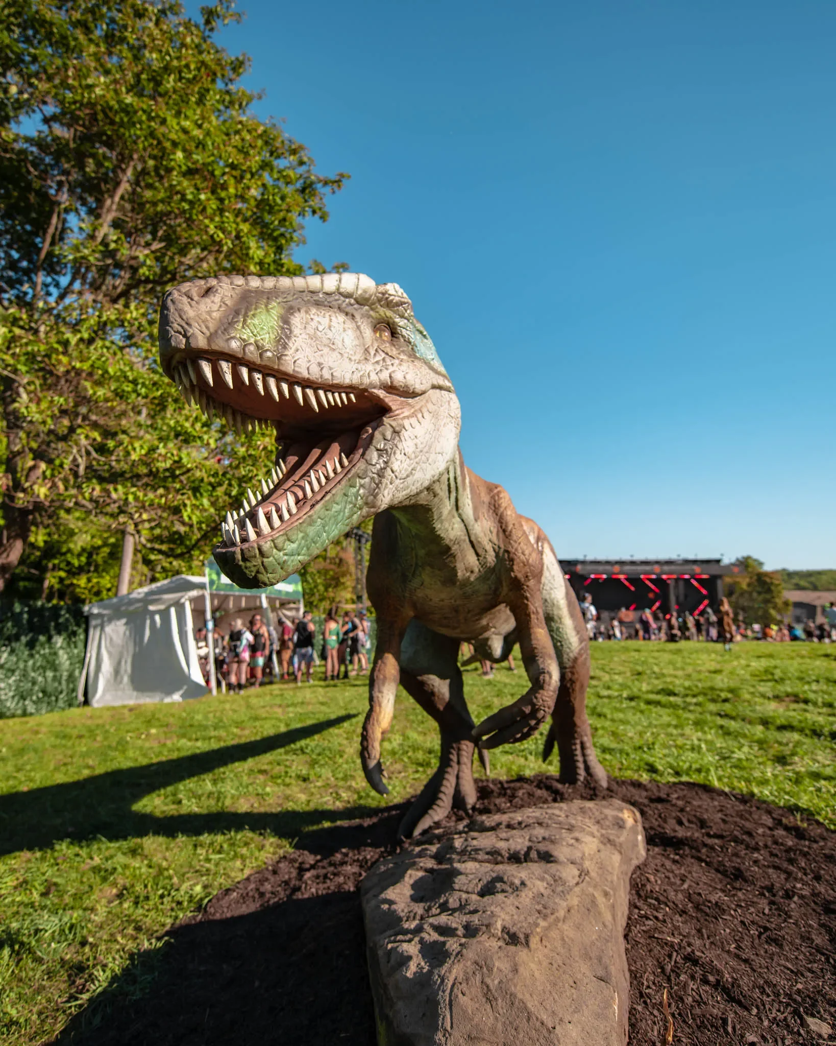 Colee.one — Lost Lands 2021 photography, image 226 of 359