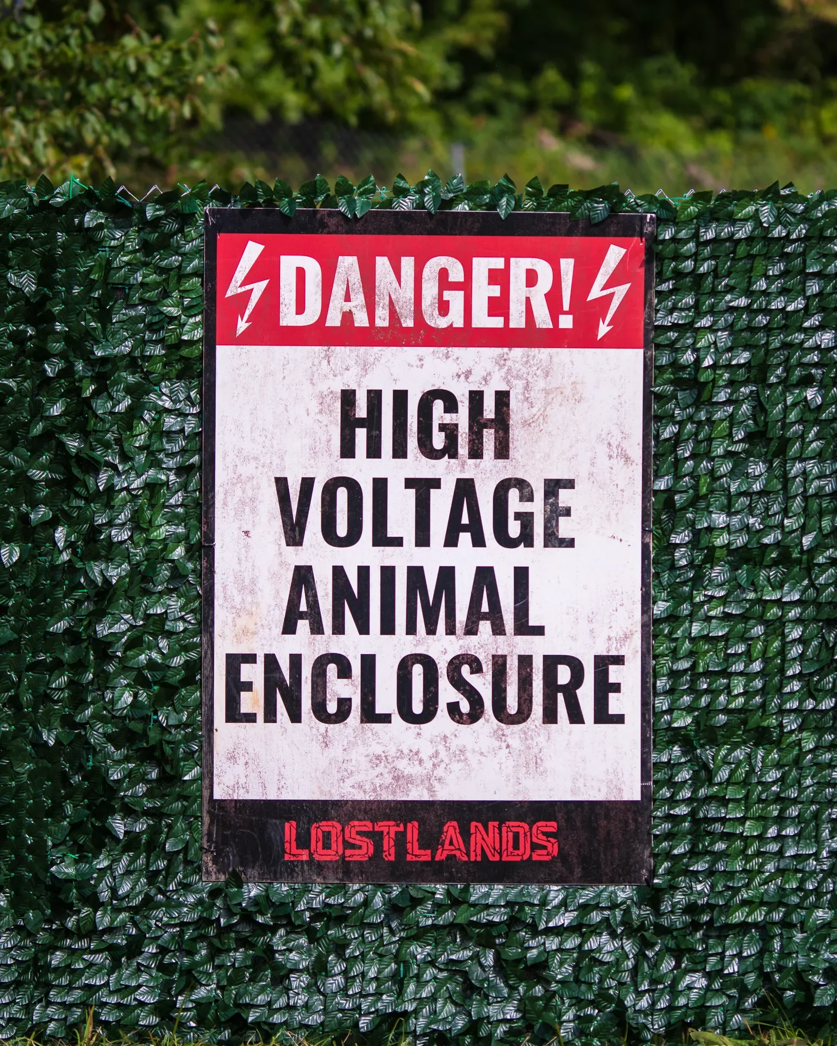 Colee.one — Lost Lands 2021 photography, image 264 of 359