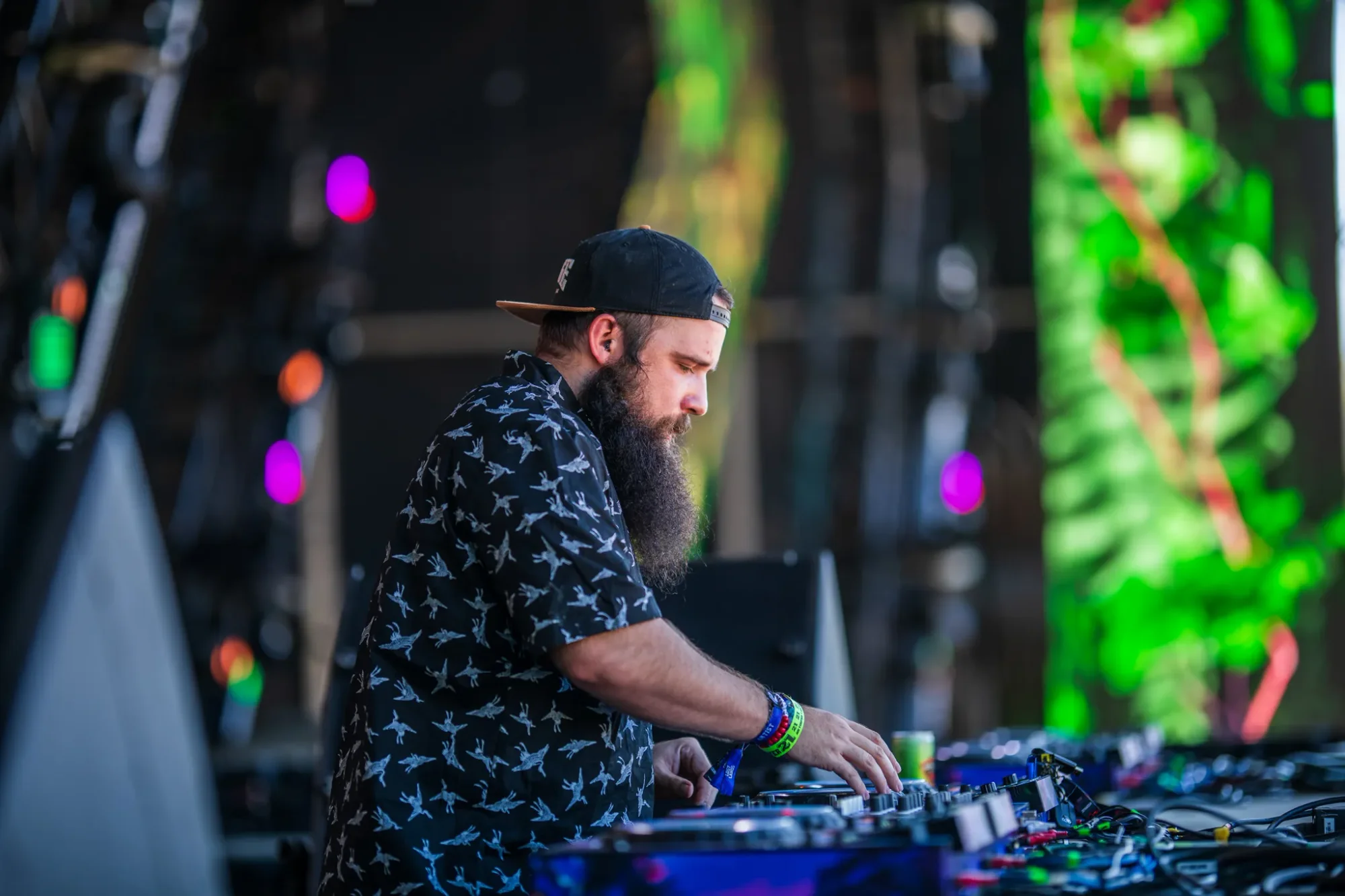 Colee.one — Lost Lands 2021 photography, image 286 of 359