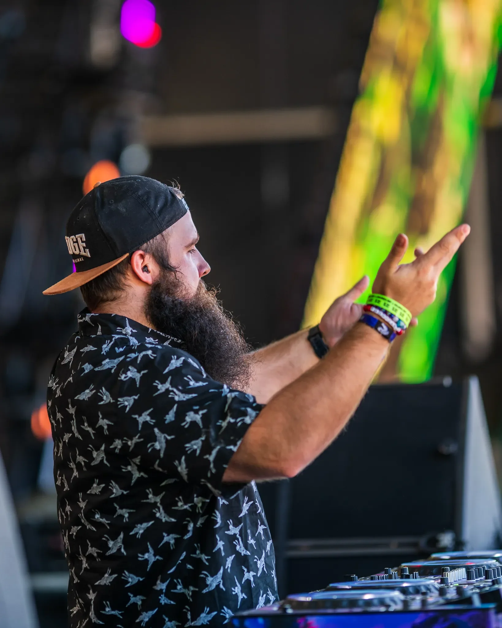 Colee.one — Lost Lands 2021 photography, image 287 of 359