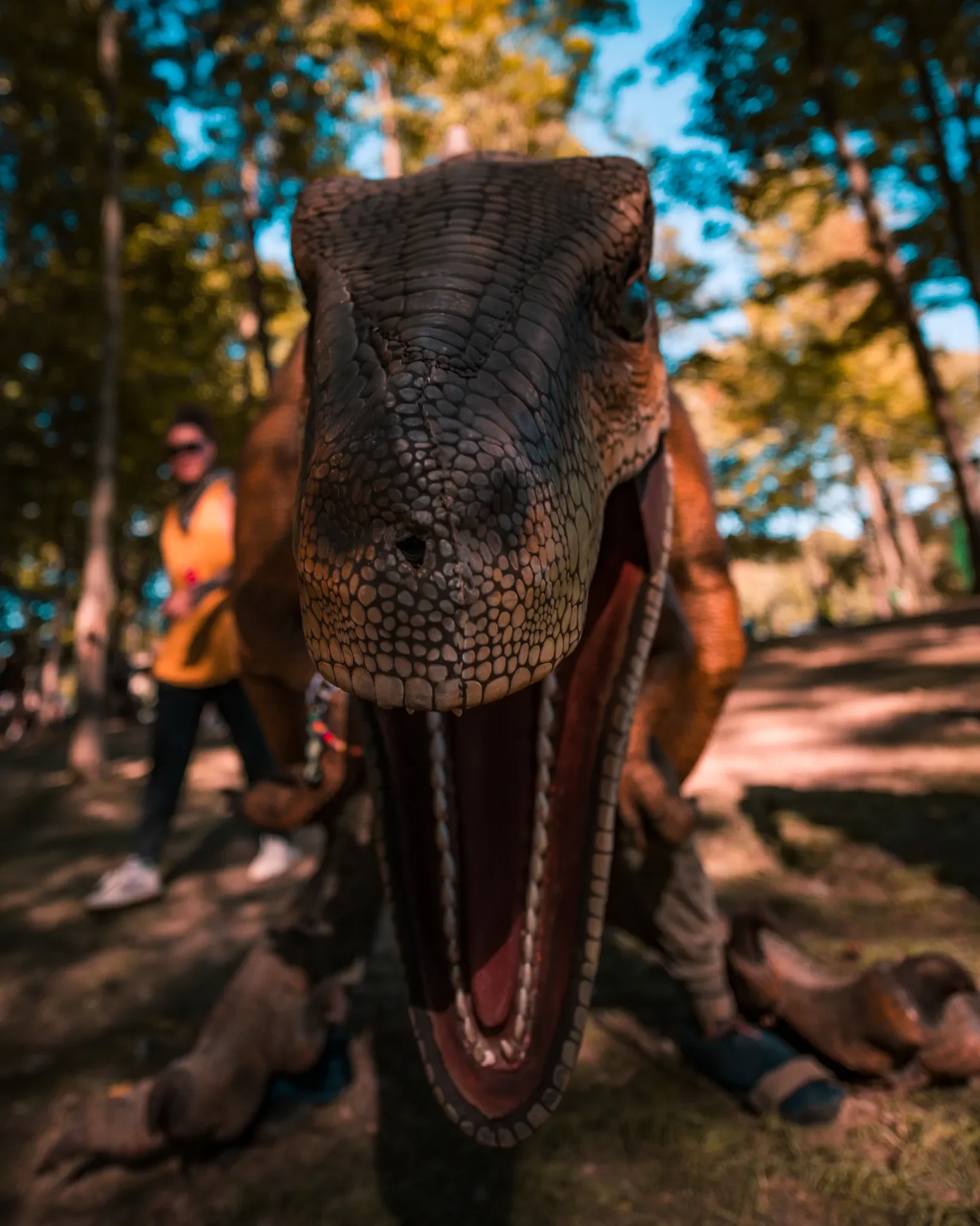 Colee.one — Lost Lands 2021 photography, image 304 of 359