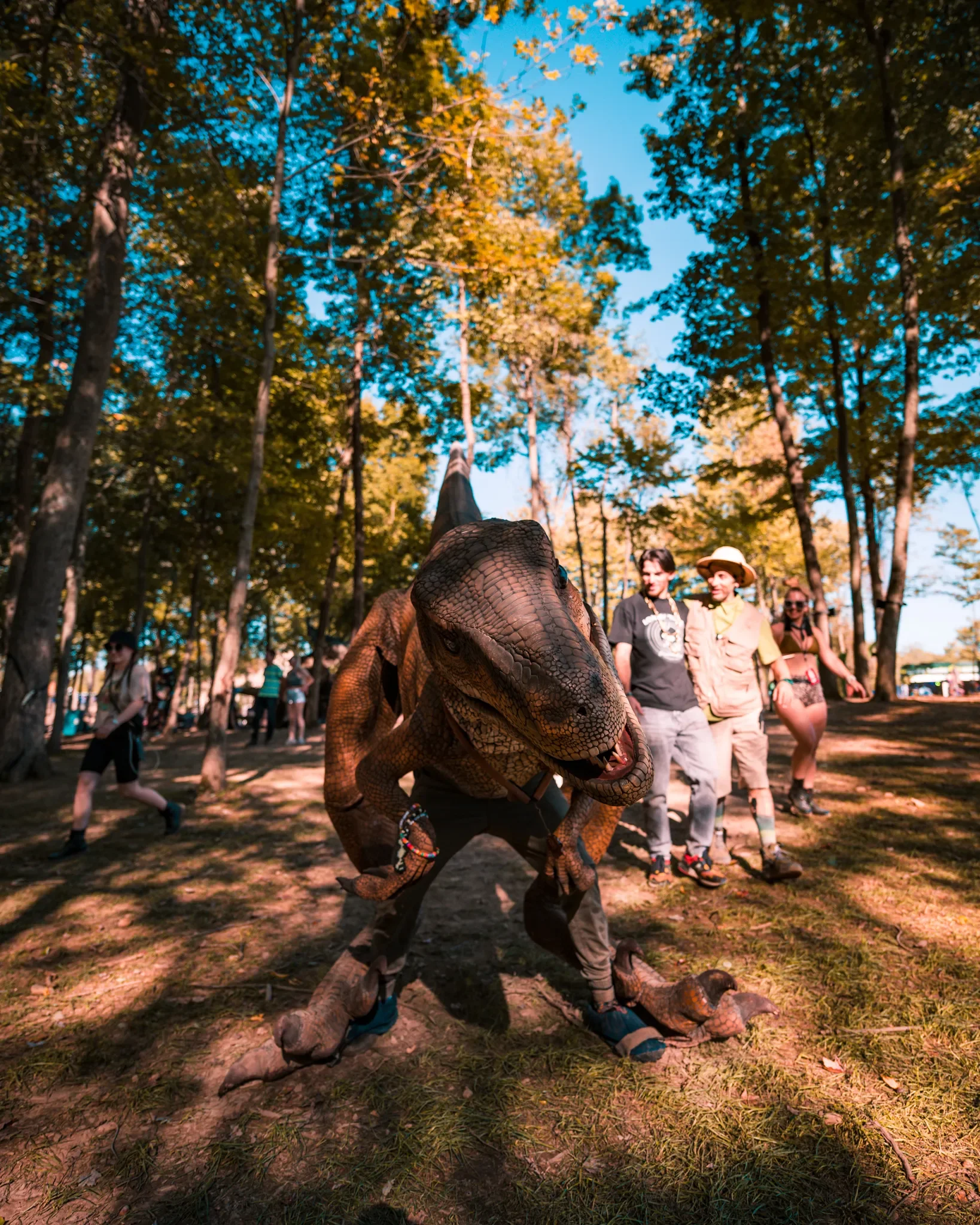 Colee.one — Lost Lands 2021 photography, image 306 of 359