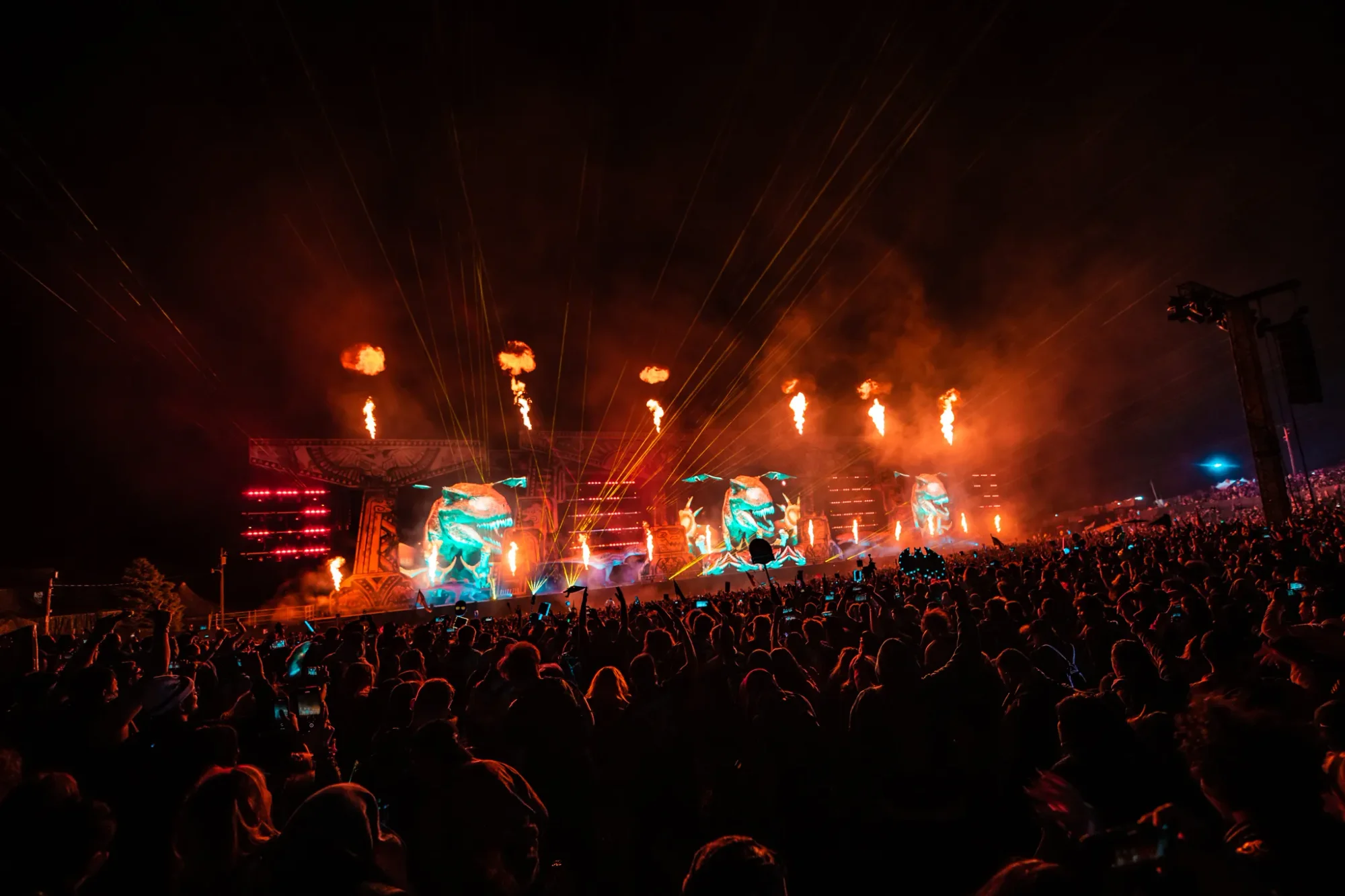 Colee.one — Lost Lands 2021 photography, image 312 of 359