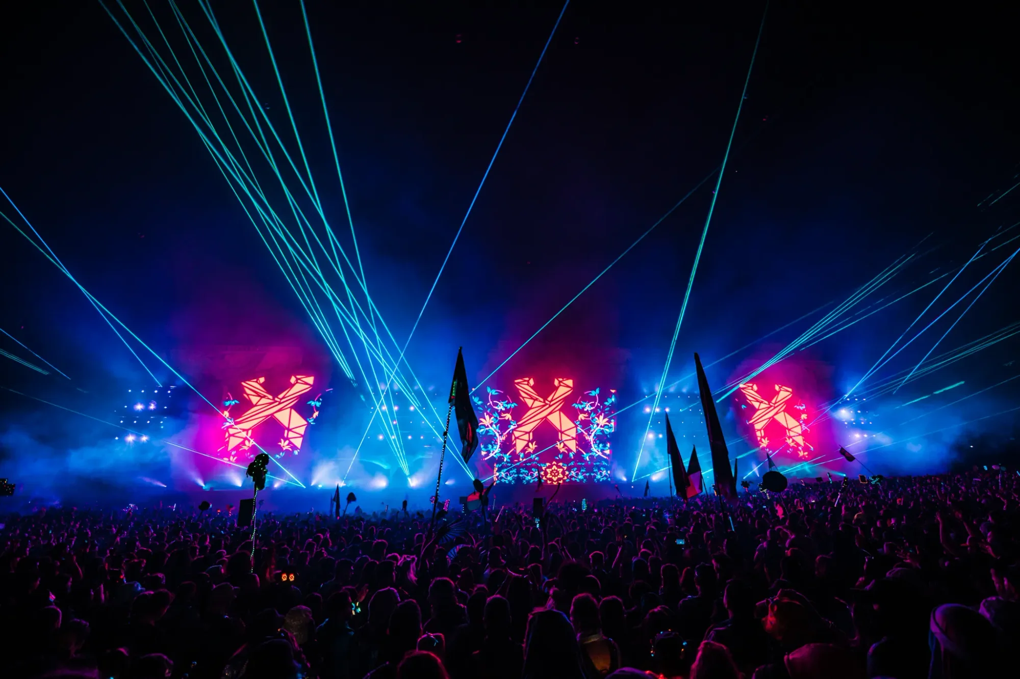 Colee.one — Lost Lands 2021 photography, image 313 of 359