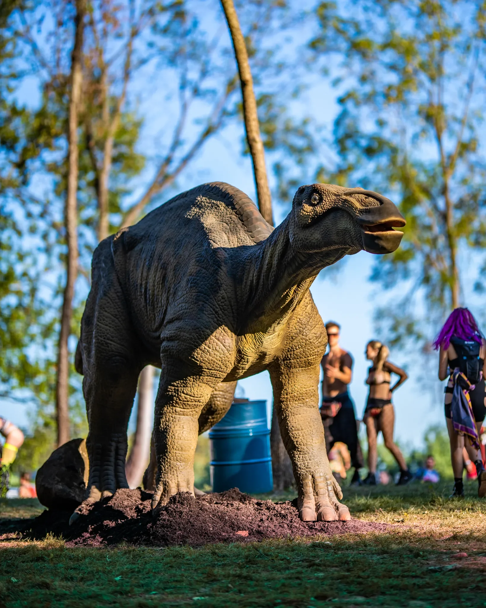 Colee.one — Lost Lands 2021 photography, image 315 of 359