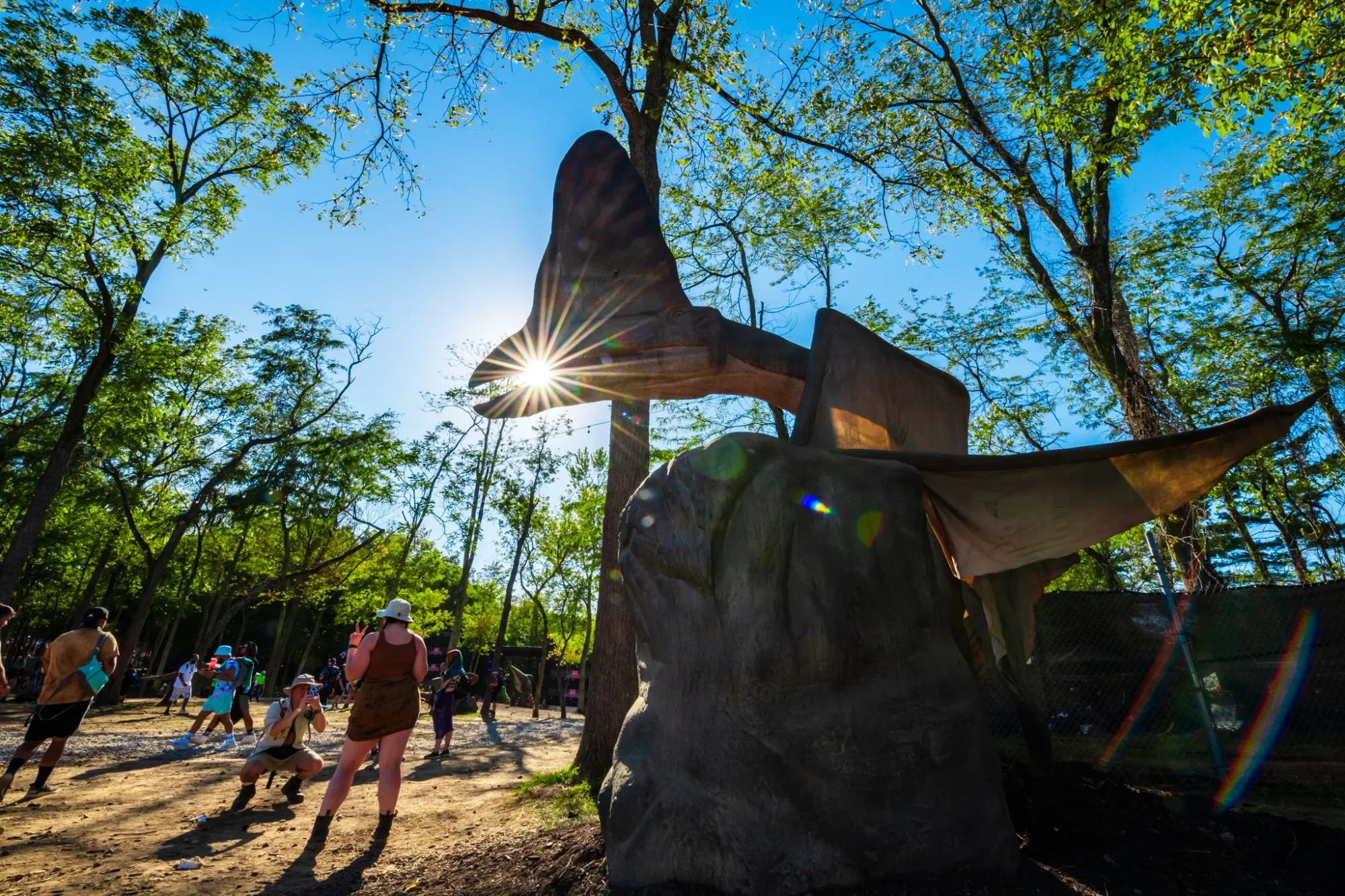 Colee.one — Lost Lands 2021 photography, image 327 of 359