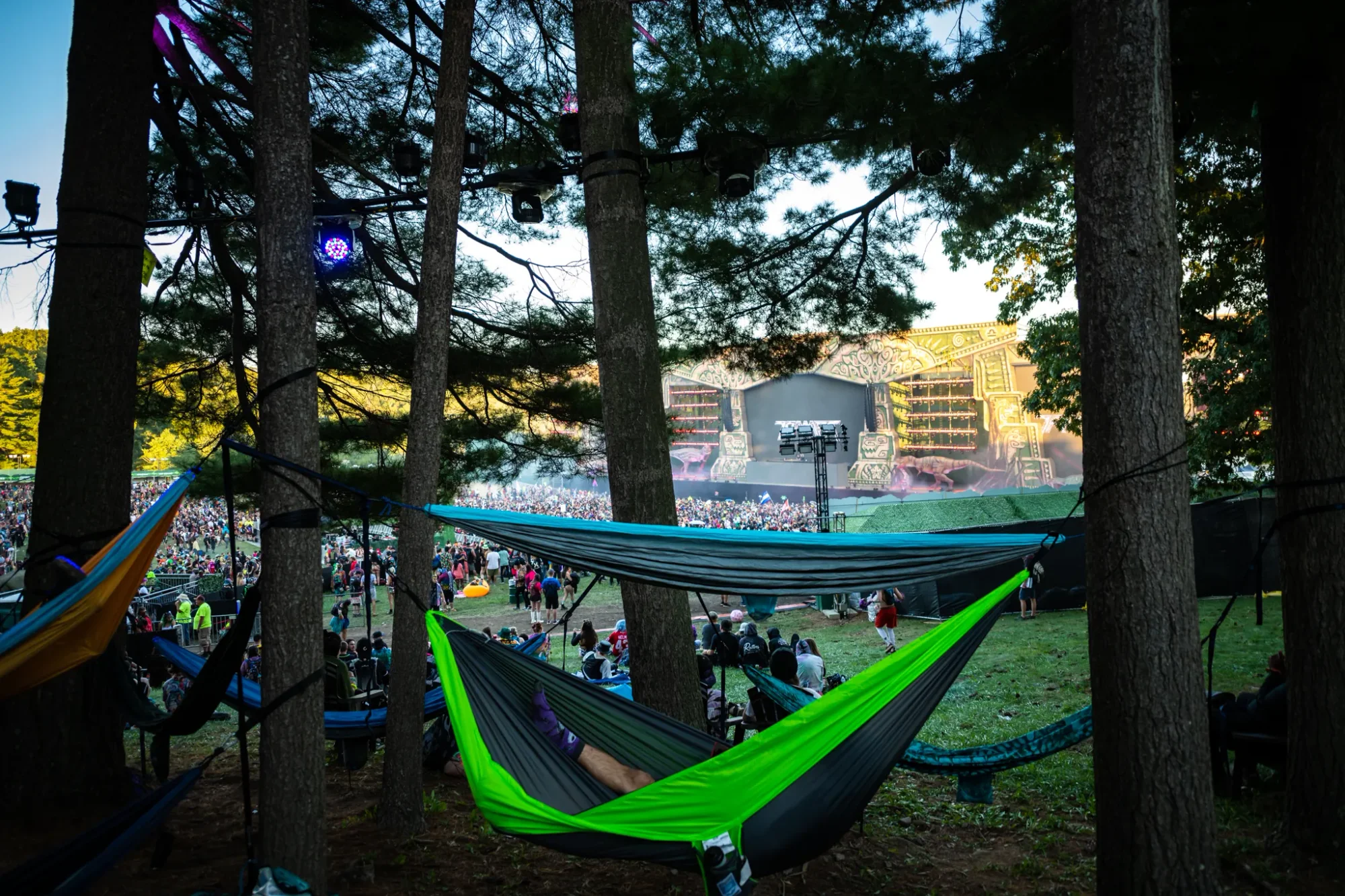 Colee.one — Lost Lands 2021 photography, image 332 of 359
