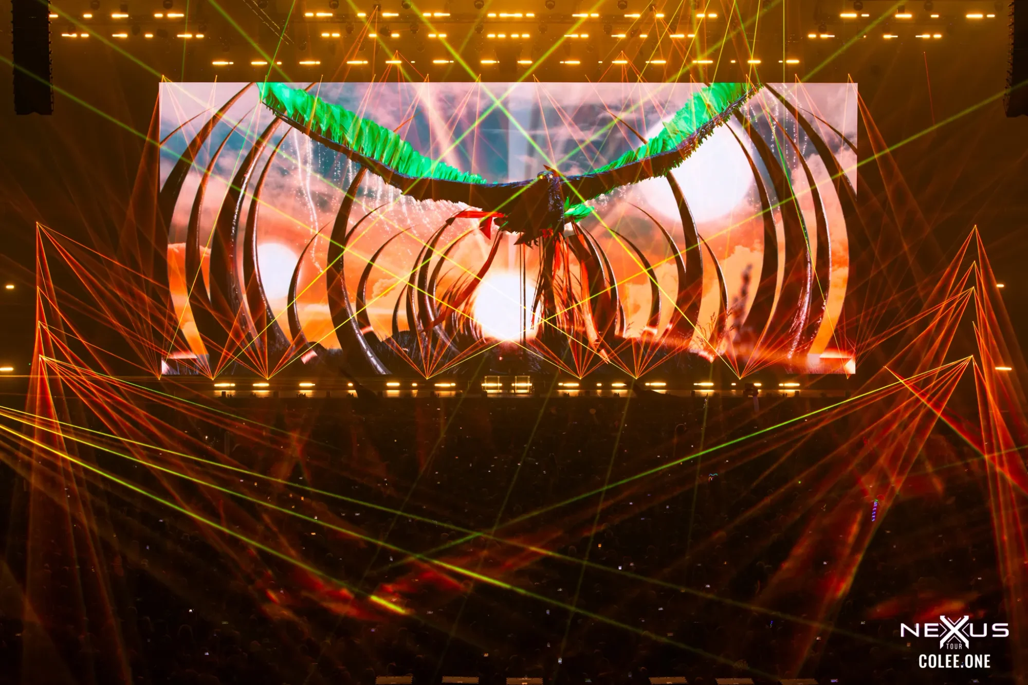 Colee.one — Thunderdome 2024 photography, image 12 of 336