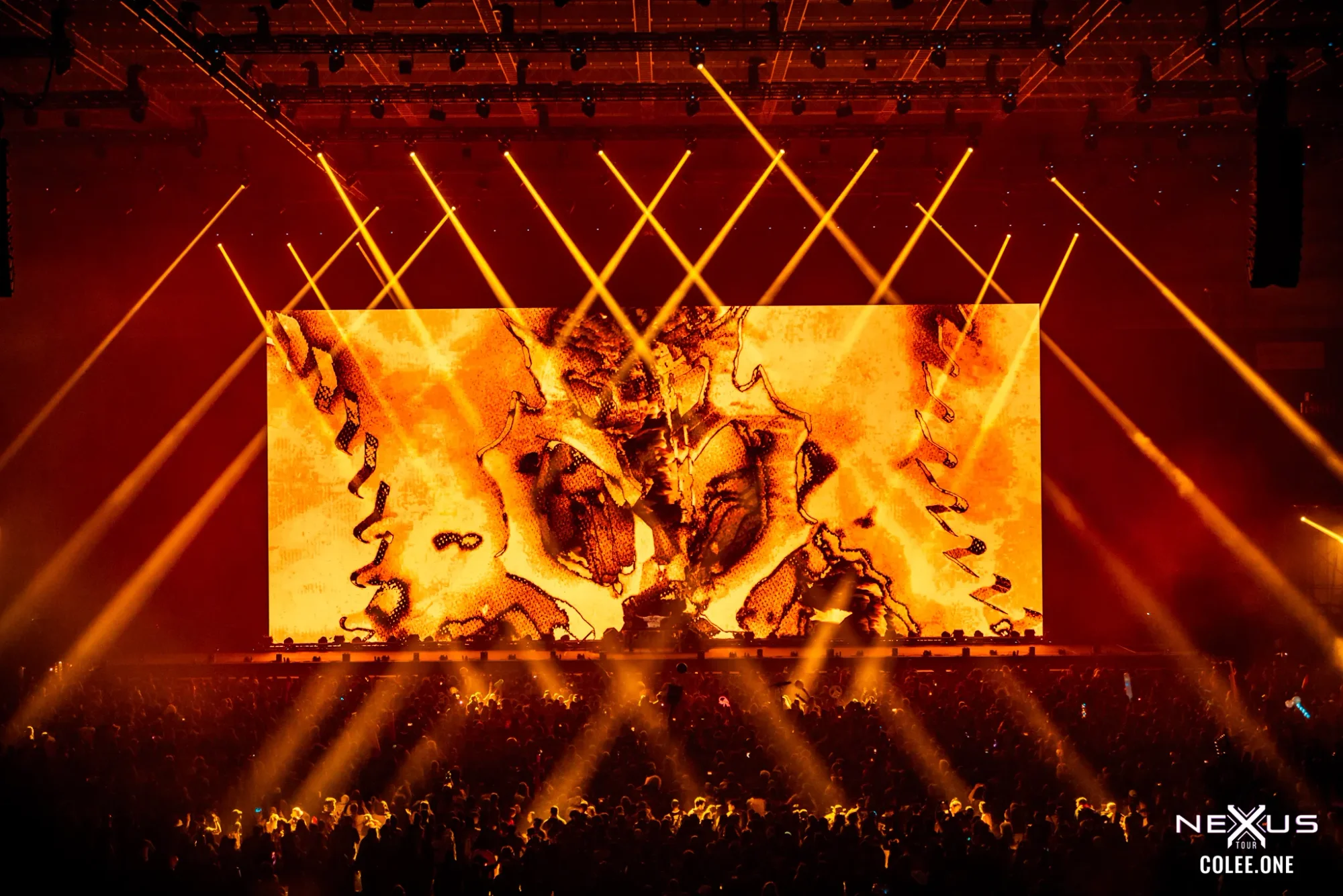 Colee.one — Thunderdome 2024 photography, image 149 of 336