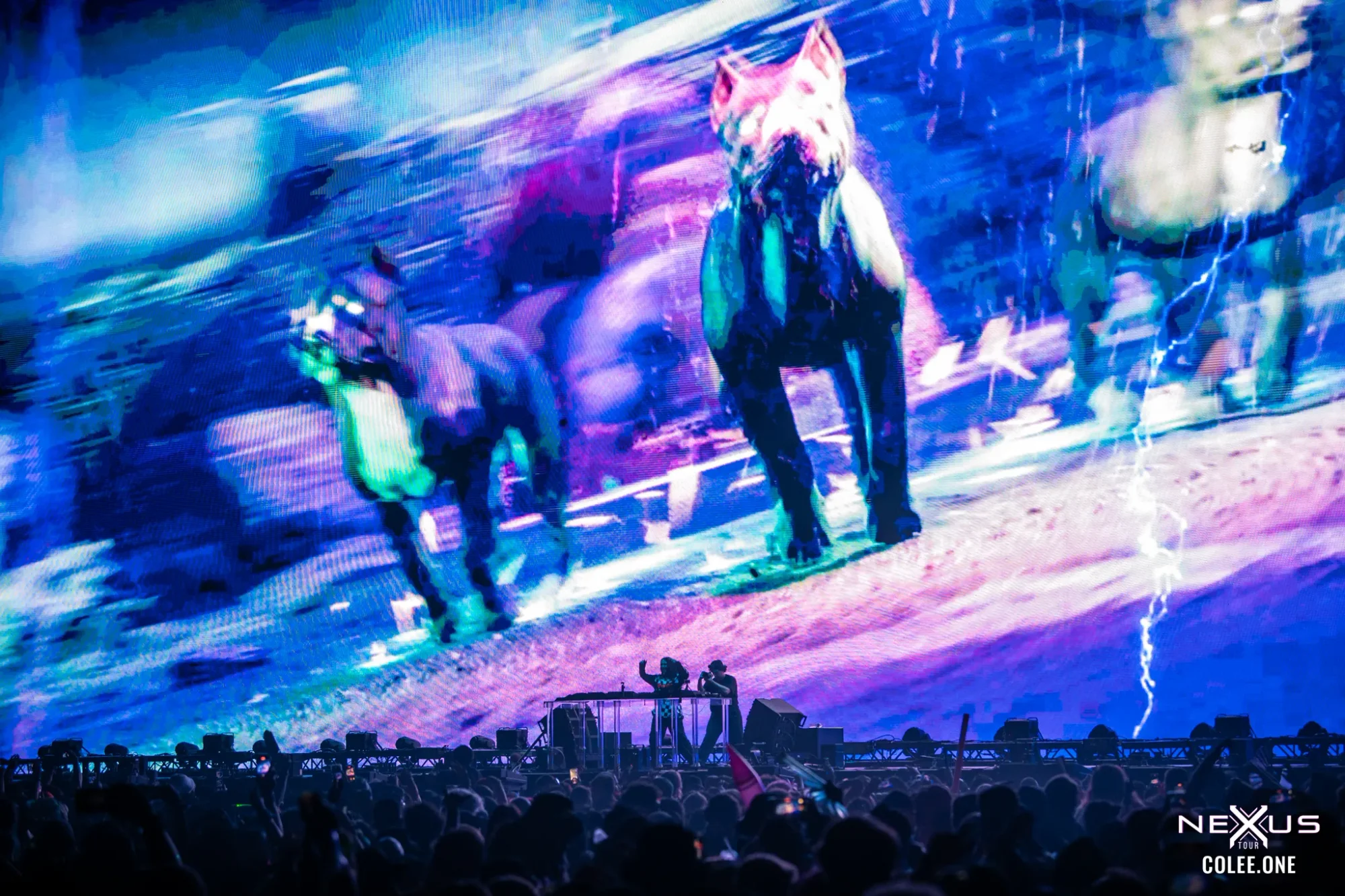 Colee.one — Thunderdome 2024 photography, image 266 of 336
