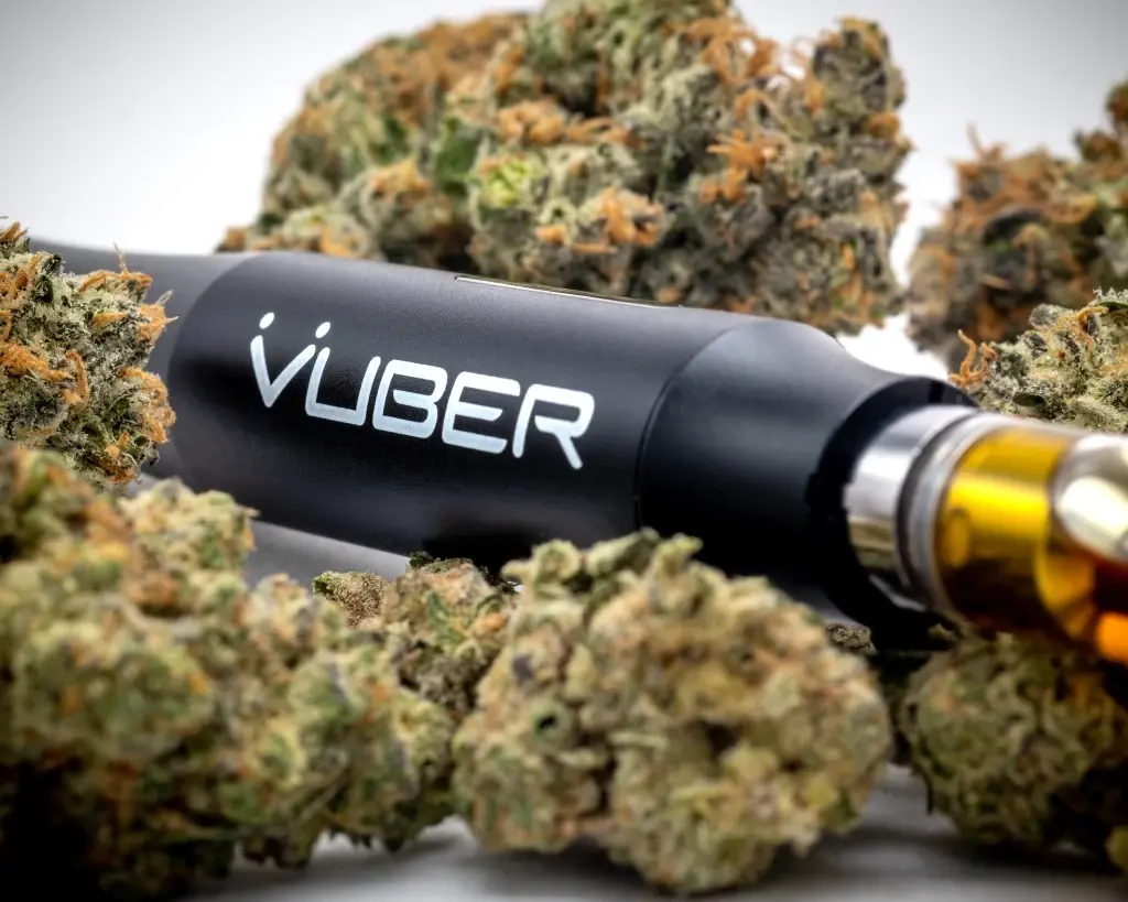 Close-up product photograph of a vaporizer beside cannabis buds